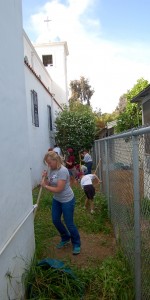 Before. Patricia Keefe '89, foreground, works on removing weeds.